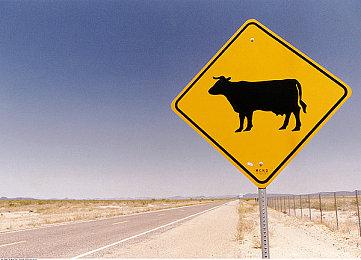 《终结者：反抗军》DLC IGN 5分 战斗加强但缺乏新鲜感